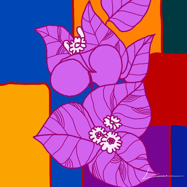 Lianna Adams_Bougainvillea_POPART_1 Medium