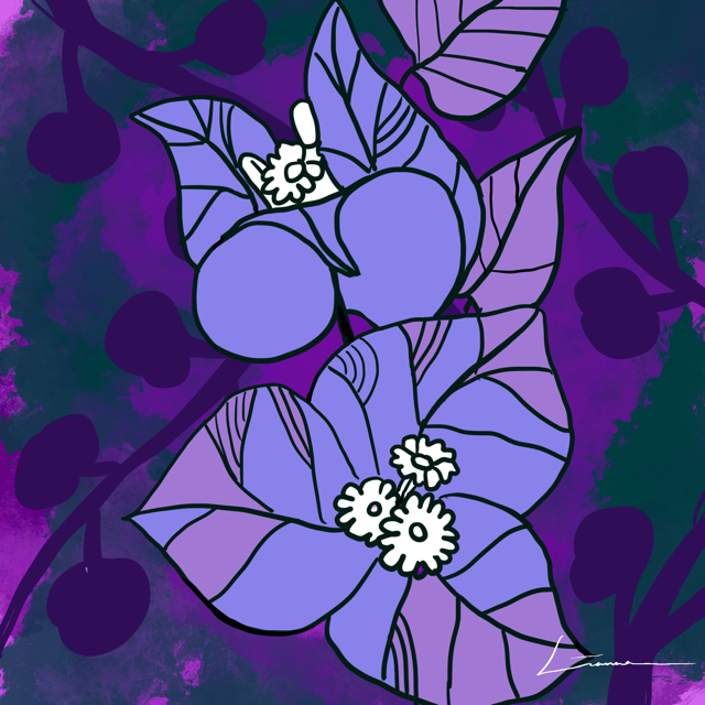 Lianna Adams_Bougainvillea_POPART_4 Medium