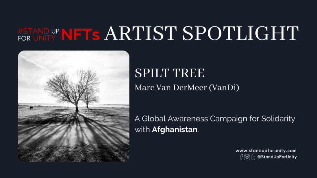 SUFU_ARTIST SPOTLIGHT_VAN DI